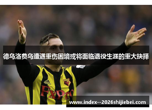 德乌洛费乌遭遇重伤困境或将面临退役生涯的重大抉择