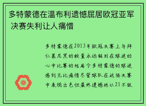 多特蒙德在温布利遗憾屈居欧冠亚军 决赛失利让人痛惜